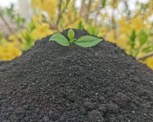 鸡粪肥料的利用价值（从厨余垃圾到肥料）