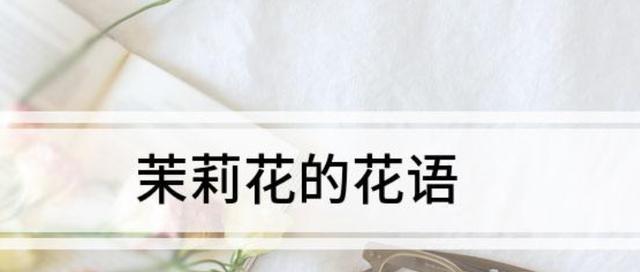 花语中的思念（以何种花的花语表达“好久不见”的情感）