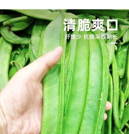 红刀豆种子——未经加工的营养小粒子（发掘红刀豆种子的食用价值）