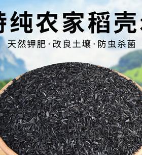 探究稻壳炭的特性和使用方法，为花卉养护提供新思路（探究稻壳炭的特性和使用方法）