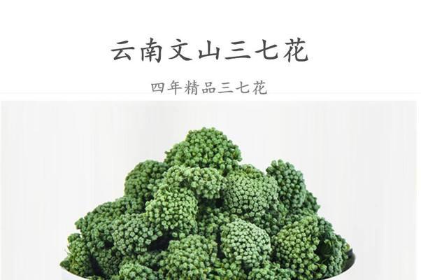 三七花的种植与养护（学会种植三七花）