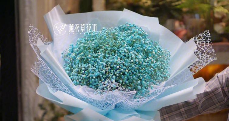 满天星花语的含义及象征（揭秘满天星花所蕴含的浪漫与祝福）