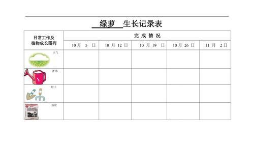 如何科学浇水大绿萝（春夏秋冬）