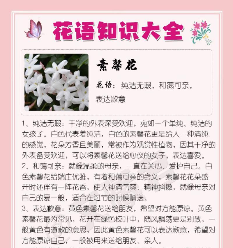 薄荷花语与代表意义——清新芬芳，带来健康与宁静（薄荷花语的美丽寓意与应用）