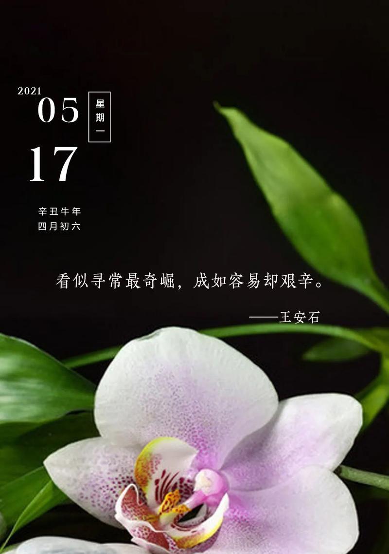 花语中的加油鼓励——以表示加油的花为主题（激励心灵的鲜花）