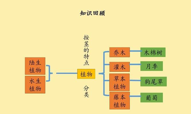 睡莲的发芽和生长过程（了解睡莲的成长周期与繁殖方式）