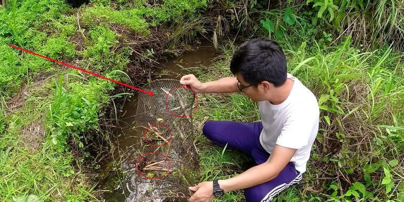 死鱼肥料的制作与应用（利用死鱼做肥料）