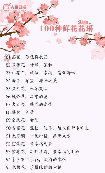 白百合花的花语和寓意（揭开白百合花的深层含义）