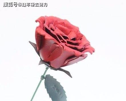 努力的花——奋斗的象征（花开向阳）