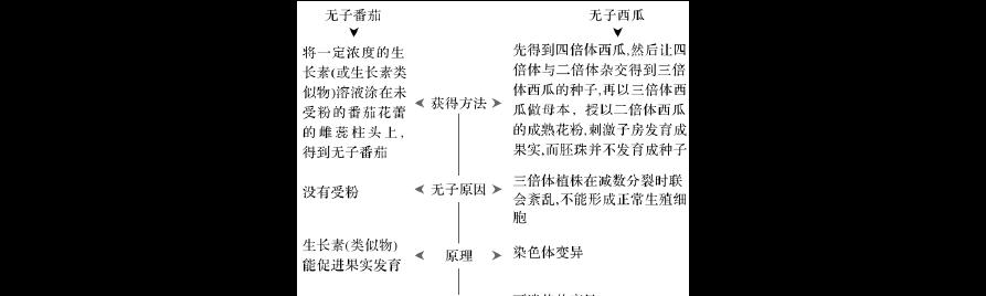 番茄种子的种植方法（从选种到成熟）