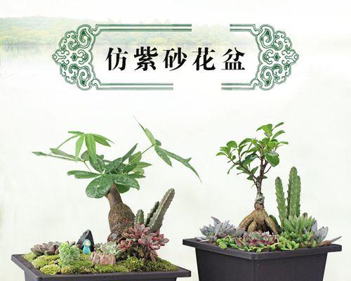 方形花盆适合养哪些花（为您推荐五种适合种植在方形花盆中的花卉）