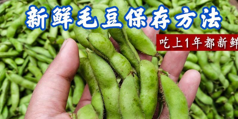 毛豆冷冻保存的正确方法是什么？冷冻后会影响口感吗？