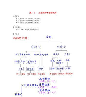 毛豆种植的最佳时间是什么时候？整个生长周期需要多久？