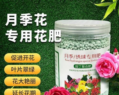 玫瑰花花肥如何制作？使用过程中应注意哪些问题？