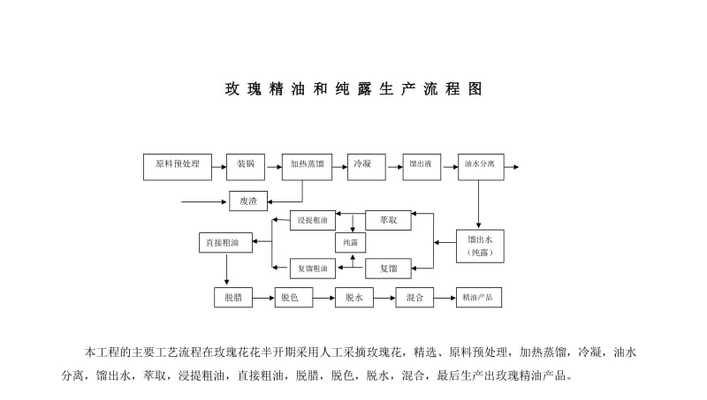 玫瑰花种子怎么获得？如何正确种植玫瑰花种子？