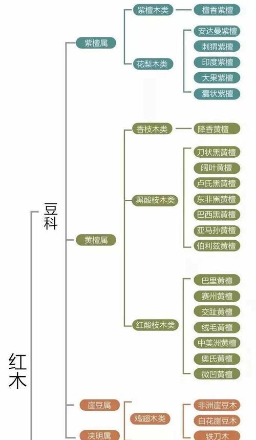 梅豆角种植的最佳时间和方法是什么？栽培技术要点有哪些？