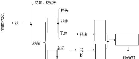 梅花扦插繁殖方法是什么？需要注意哪些事项？