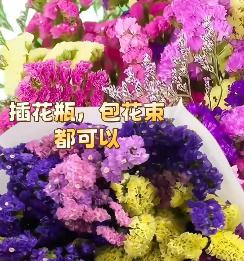 勿忘我花语代表什么？勿忘我花语是什么意思？