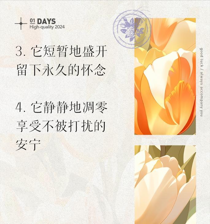 花枯萎象征着什么？枯萎的花朵传递了哪些信息？