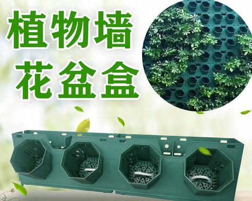 随机植物盒子如何固定植物？固定植物有哪些技巧？