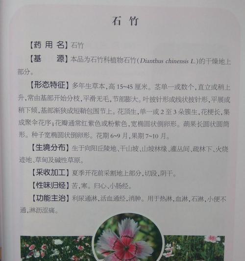 花卉正文是什么意思啊？花卉正文通常包含哪些内容？