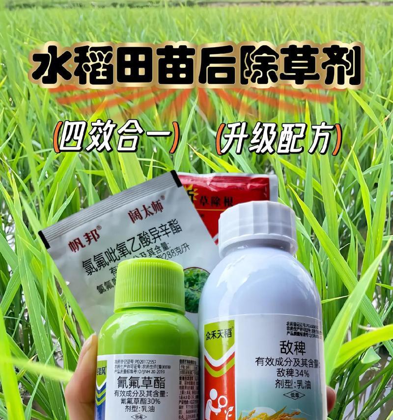 水稻拌种剂有什么作用？使用方法是什么？