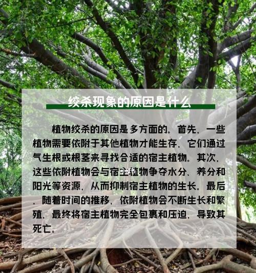 植物避嫌效应是什么？它在植物生长中起什么作用？